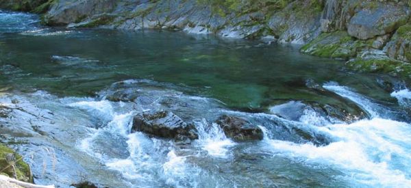 Conservation Science Blog