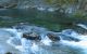 Conservation Science Blog